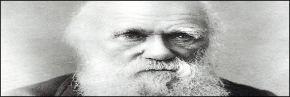 What is Naturalism?